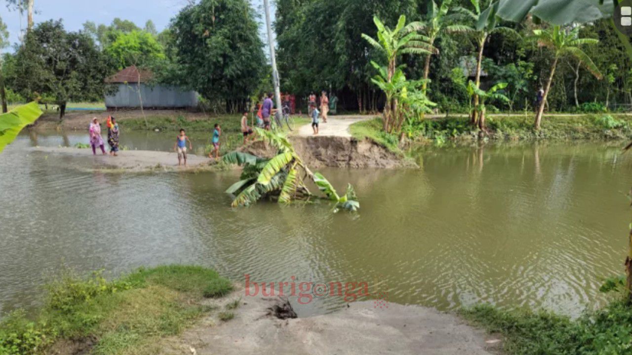 ধরলার তীব্র স্রোতে ফুলবাড়ীতে কালভার্ট ধস
