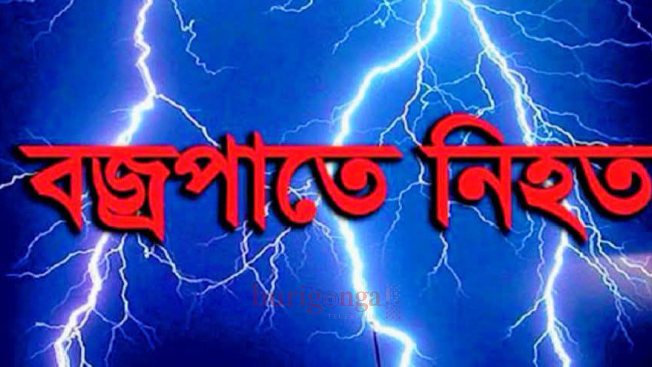 ফুলবাড়ী উপজেলা নন্দী গ্রামে বজ্রপাতে ছেলের মৃত্যু বাবা আহত।