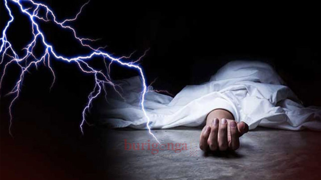  বৃষ্টিতে চলনবিলে মাছ ধরতে গিয়ে প্রাণ হারালেন যুবক