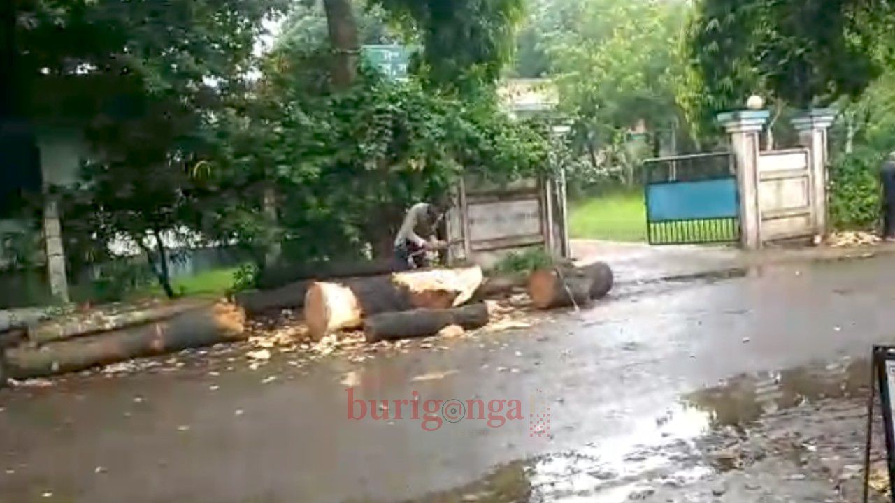 সাগরদাঁড়ি পর্যটন কেন্দ্রের মূল ফটক এখন কাঠের আড়ৎ, নষ্ট হচ্ছে নান্দনিকতা