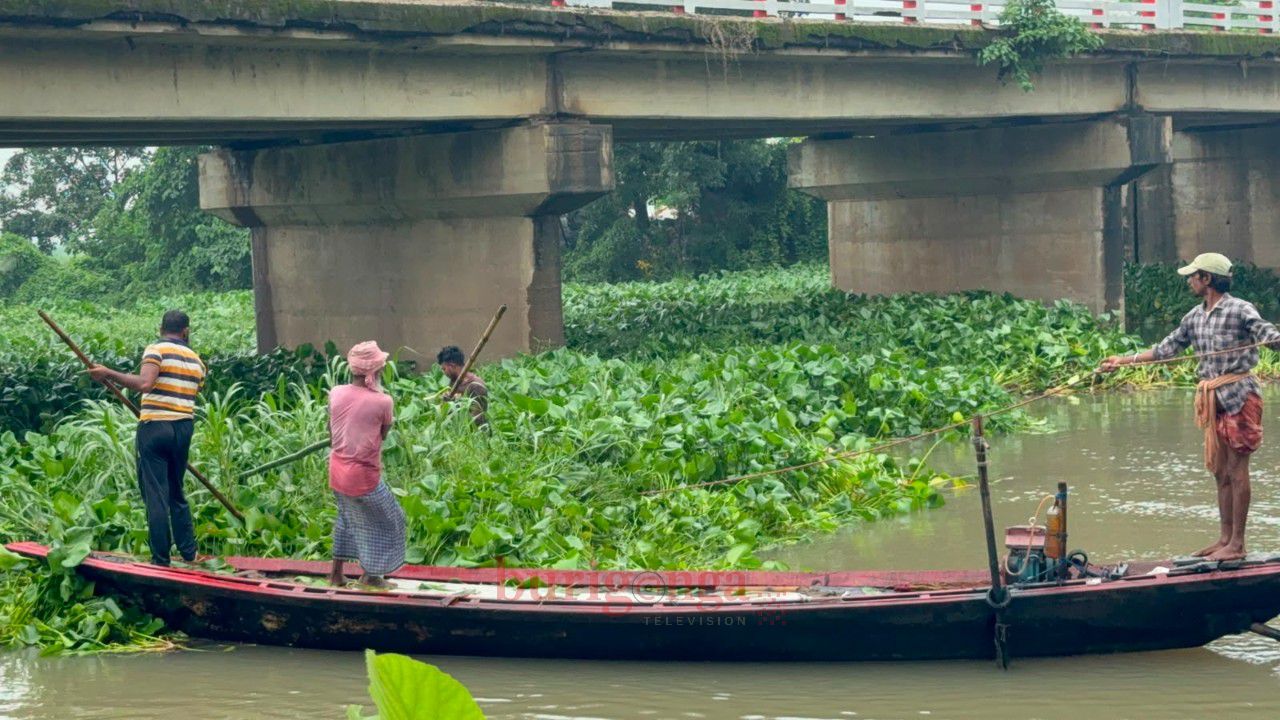 সিংড়ায় এমপি আনুর নির্দেশনায় হিয়ালা বিলের কচুরিপানা অপসারণ কাজের উদ্বোধন
