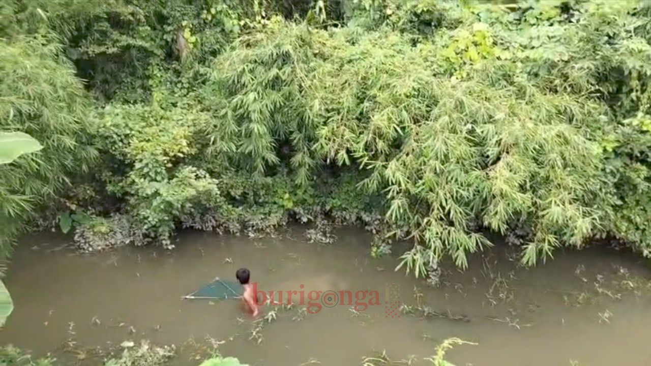 কাহালুর নাগর নদীতে ভেসে উঠছে মাছ 