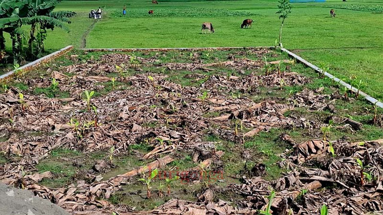 জমিজমা বিরোধের হামলায় আদালতে মামলা, নিরাপত্তাহীনতায় ভুক্তভোগী পরিবার