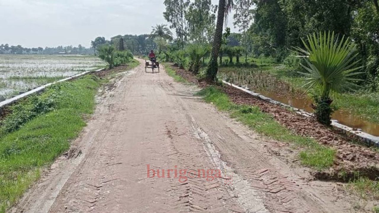 সড়কে নিম্নমানের ইট, চিঠির পরও অপসারণ করেননি ঠিকাদার