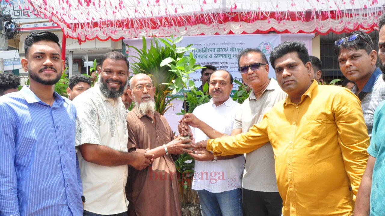 নাটোরে দুই হাজার পথচারীর হাতে গাছের চারা, জলবায়ু সচেতনতায় এসআরআই ওয়েলফেয়ার ফাউন্ডেশন