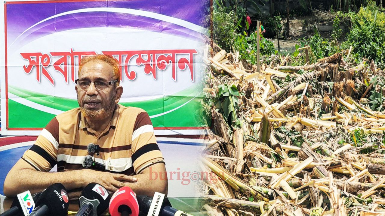 কালিয়াকৈরে জমি দখল, গাছ কর্তন ও প্রাণনাশের হুমকির অভিযোগে সংবাদ সম্মেলন