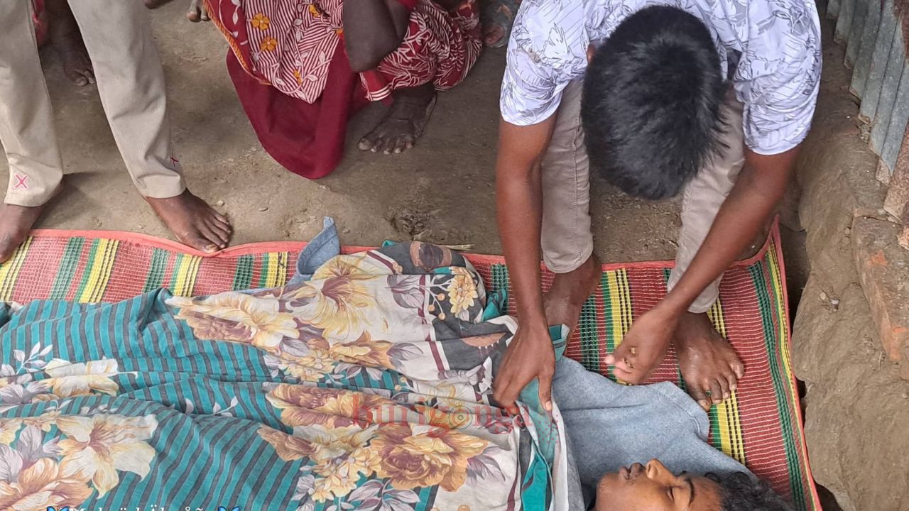 রাণীশংকৈলে বিষধর সাপের কামড়ে কিশোরের মৃত্যু