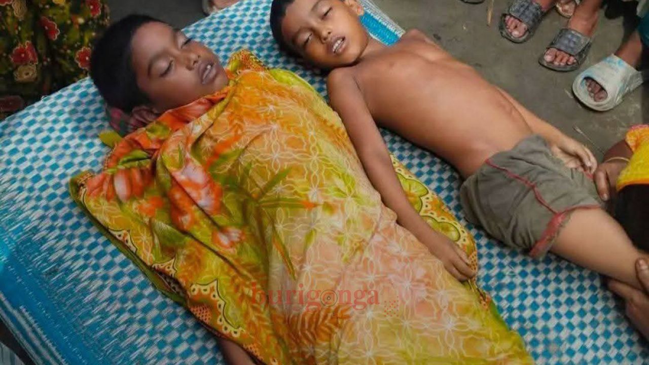 নরসিংদীর মনোহরদীতে বাড়ির পাশের গর্তে জমে থাকা পানিতে ডুবে দুই শিশুর মৃত্যু