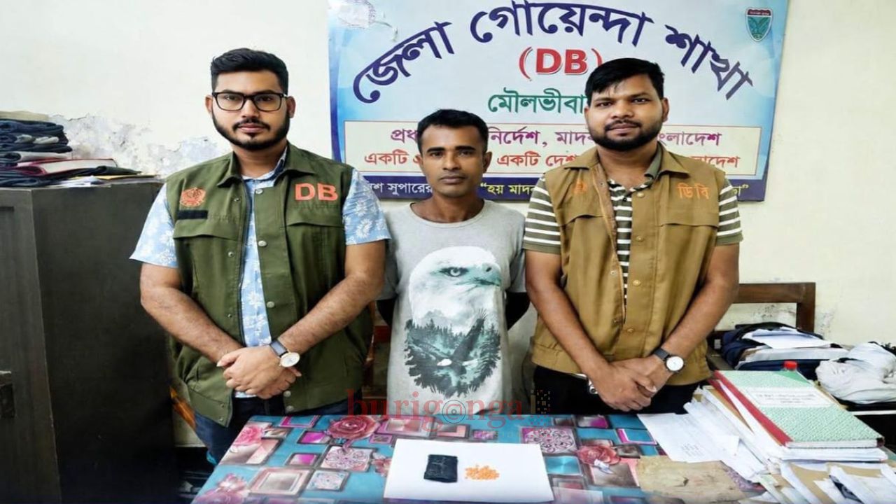 ডিবি'র জালে কারবারি ইয়াবাসহ আটক