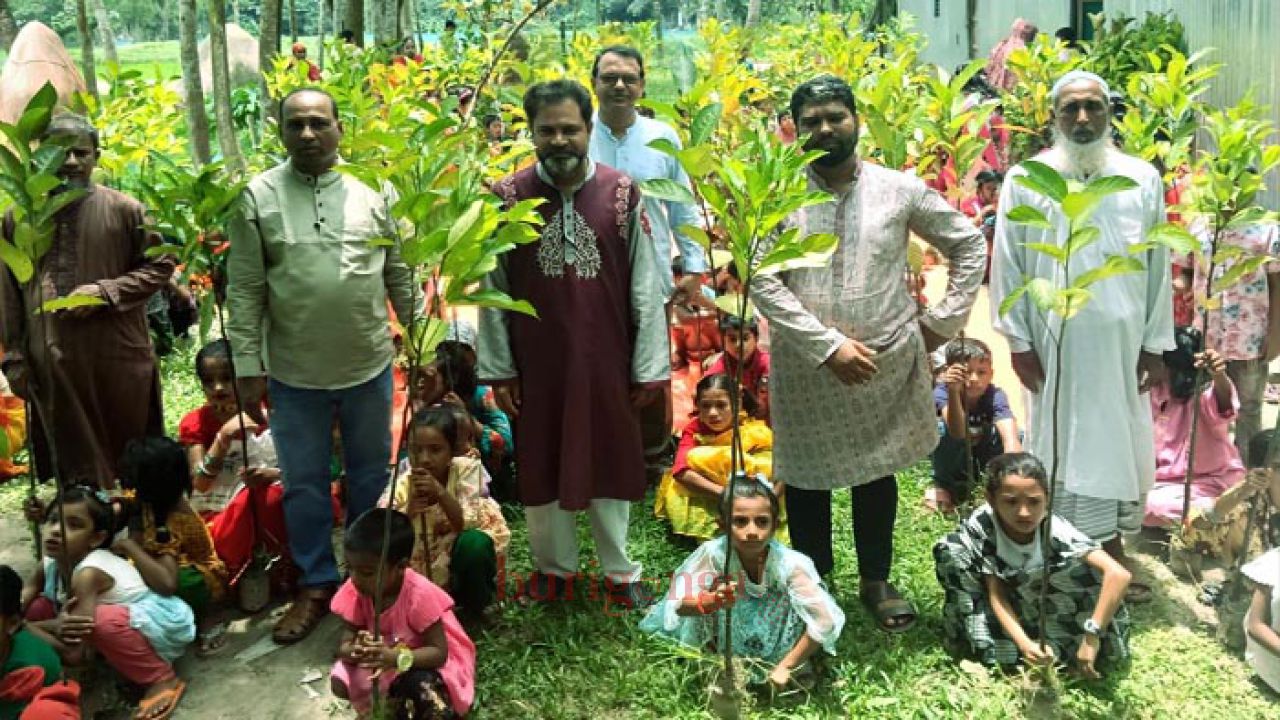 ঈশ্বরগঞ্জে শিক্ষার্থীদের মাঝে গাছের চারা বিতরণ