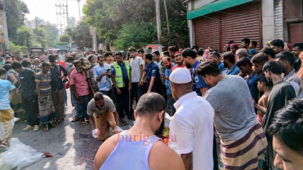 &lrm;উল্লাপাড়ায় ট্রাকচাপায় শিক্ষক নিহত