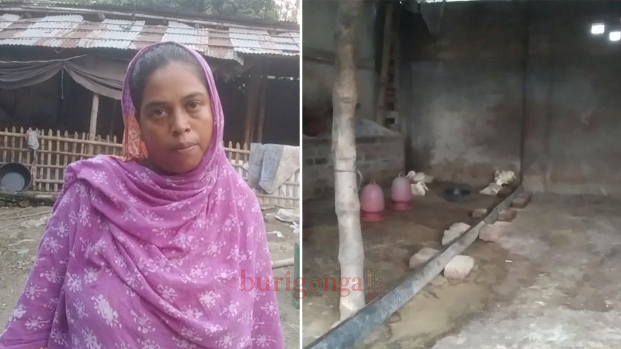 হাঁসের খামার নিয়ে বিরোধে নারী উদ্যোক্তাকে হামলার অভিযোগ