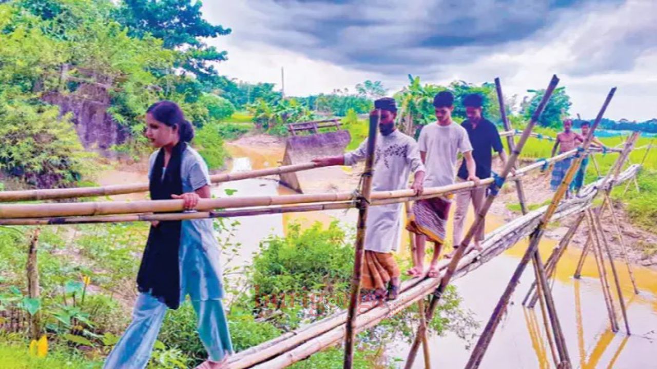 বাঁশের সাঁকোই ৩০ গ্রামের একমাত্র ভরসা 