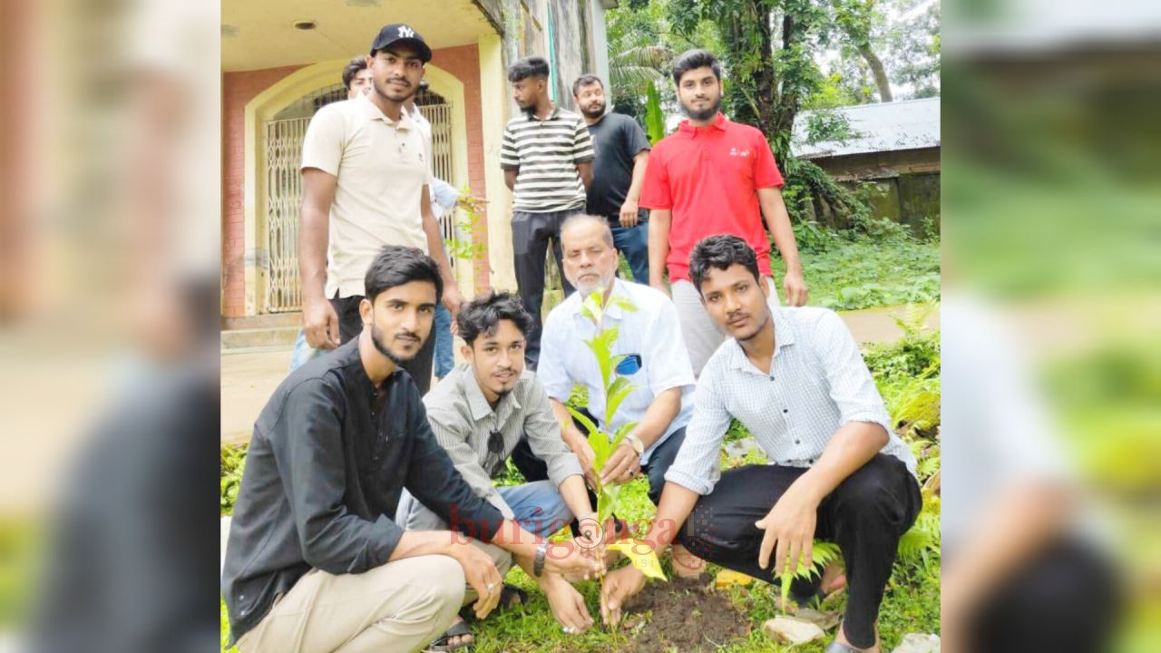 দুর্গাপুরে বিএনপির প্রতিষ্ঠাবার্ষিকীতে পৌর ও কলেজ ছাত্রদলের বৃক্ষরোপণ