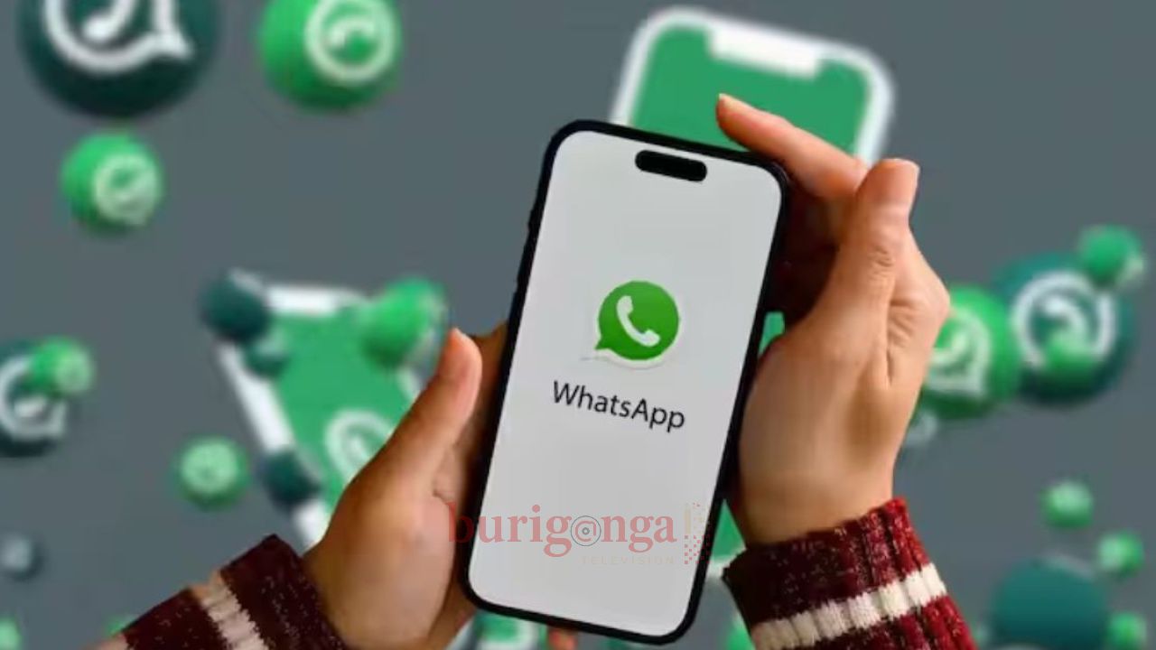 আইফোন ব্যবহারকারীদের জন্য নতুন চ্যাট থিম আনল হোয়াটসঅ্যাপ