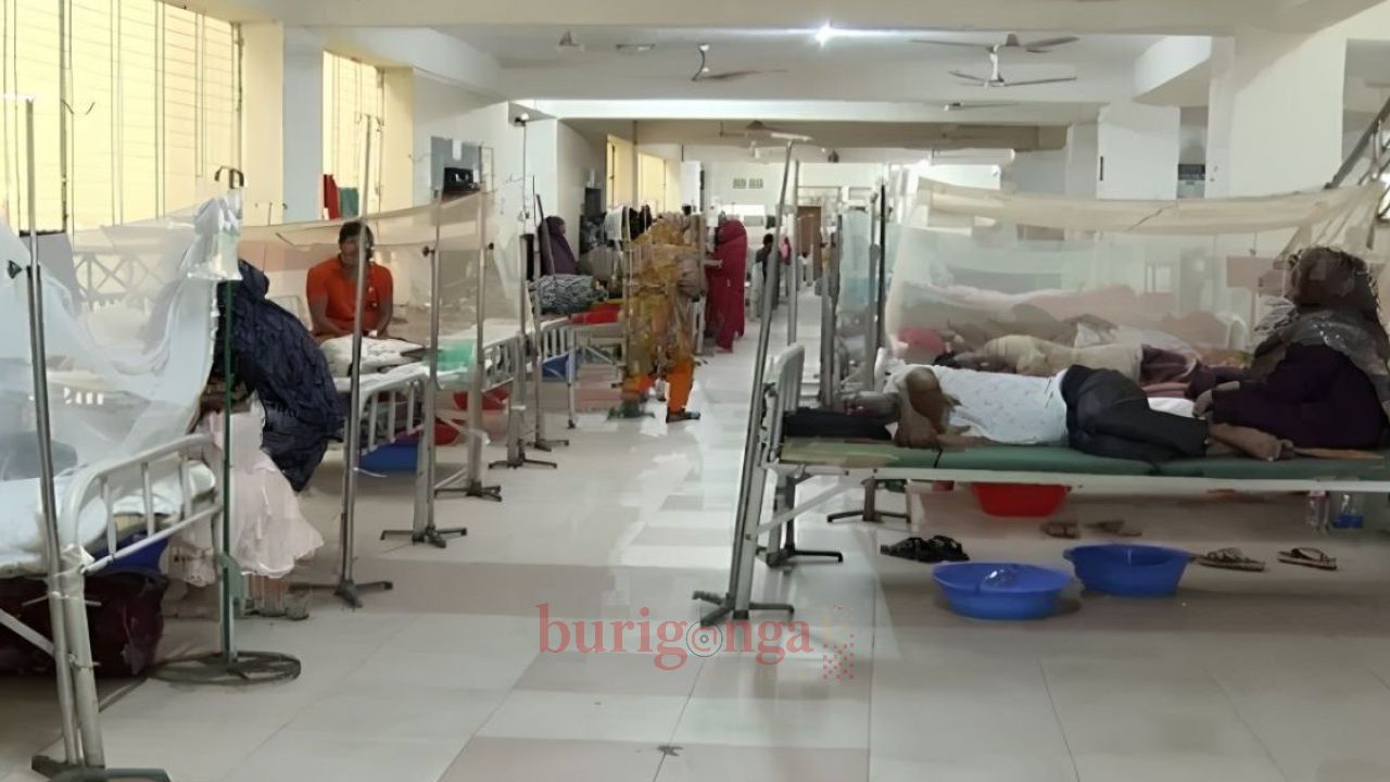 ডেঙ্গুতে বেশি আক্রান্ত হচ্ছে তরুণরা