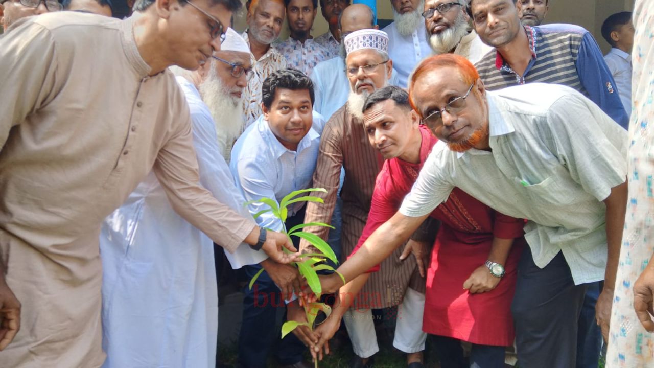 সিংড়ায় বিলদহর উচ্চ বিদ্যালয়ে বৃক্ষরোপণ কর্মসূচি