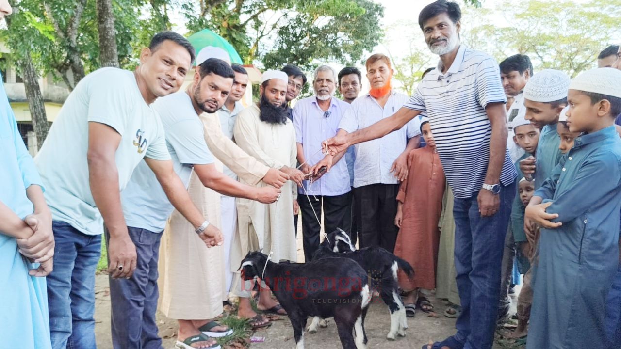 দুর্গাপুরে এতিম শিক্ষার্থীদের মাঝে বিএনপির খাসি হাদিয়া বিতরণ