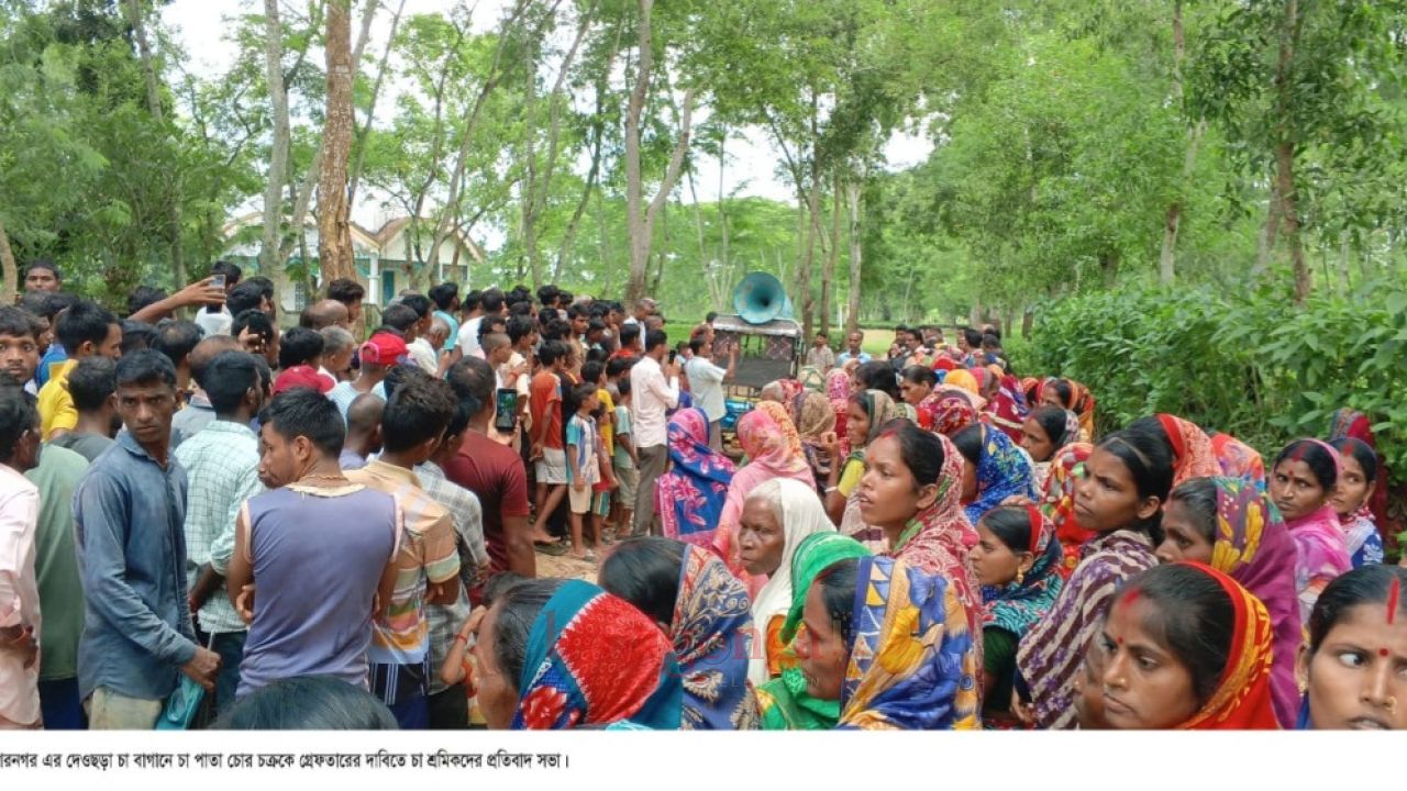 চা পাতা চুরিতে বাঁধা দেওয়ায় চুর চক্রের হামলায় আহত পাহাড়াদার বিক্ষুব্ধ চা শ্রমিকরা 