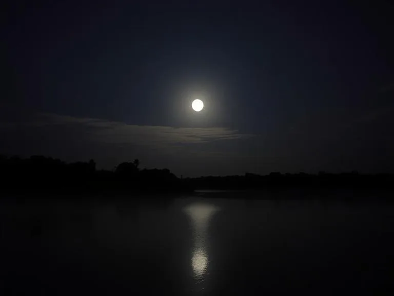 ঘোড়া নিয়ে ইসলামিক উক্তি